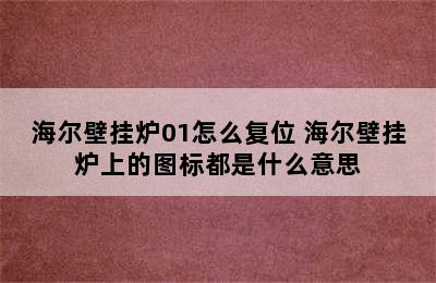 海尔壁挂炉01怎么复位 海尔壁挂炉上的图标都是什么意思